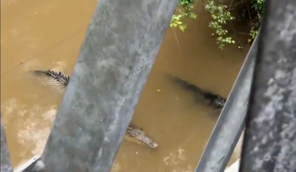 Captura de Pantalla 2025-07-02 a la(s) 17.59.48