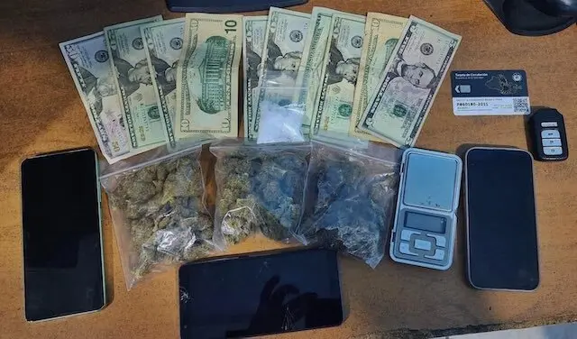 Marlon Edilberto Musto Orantes y José Rolando Pinto Linares, tráfico ilícito de drogas y agrupaciones ilícitas