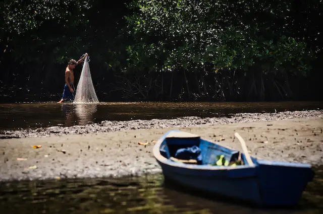 Visita al Manglar restaurado en la Barra de Santiago por parte de Davivienda Seguros, pasando por avistamiento de Cocodrilos en el Cana El Zapatero, en Ahuachapan, El Salvador, el 25 de julio de 2025.
Foto Banco Davivienda/ Salvador Melendez