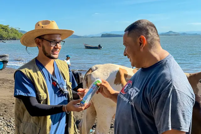 Gusano Barrenador MAG Conchagüita