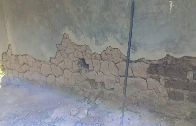 Virginia de la paz Castillo Blanco hurto 2