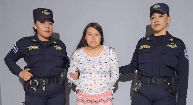 Silvia Lorena Valiente Figueroa, MS-13, agrupaciones ilícitas