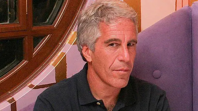 Jeffrey Epstein copia