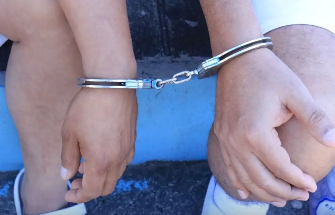 Junming Shi y Guateng Shi, violación de distintivos comerciales en modalidad continuada