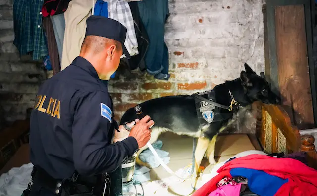 Operativo antidrogas