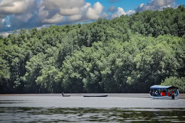 Visita al Manglar restaurado en la Barra de Santiago por parte de Davivienda Seguros, pasando por avistamiento de Cocodrilos en el Cana El Zapatero, en Ahuachapan, El Salvador, el 25 de julio de 2025.
Foto Banco Davivienda/ Salvador Melendez