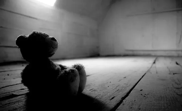 Osito de Peluche niño niña