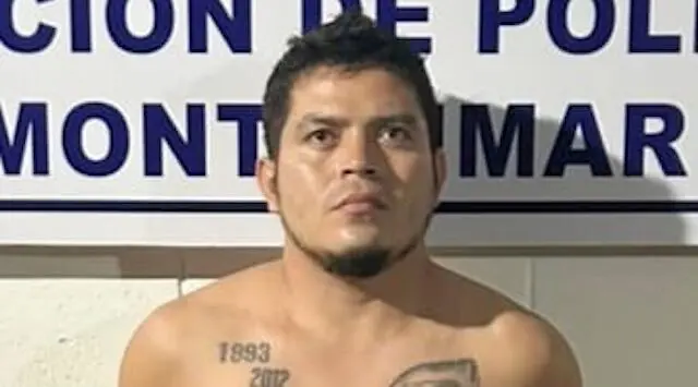 Miguel Ernesto Ortiz Méndez, alias El Queso, MS-13, agrupaciones ilícitas