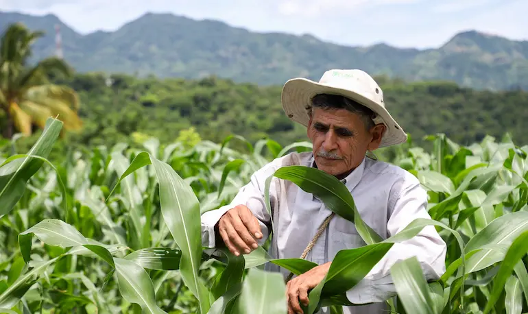 Agricultura 1