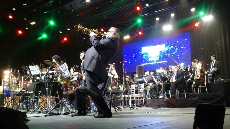 Concierto por la Paz15