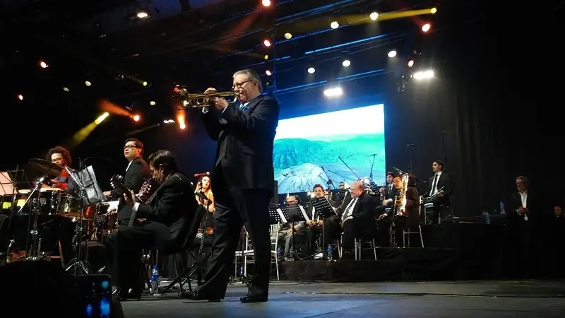 Concierto por la Paz14