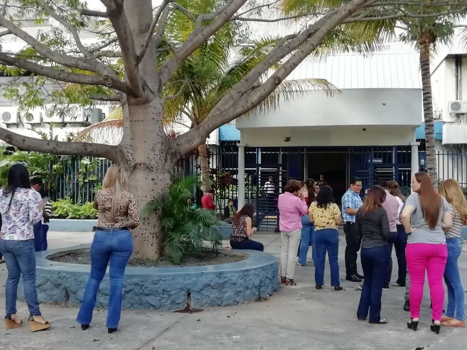 WhatsApp Image 2019-02-01 at 11.00.46 AM (1)