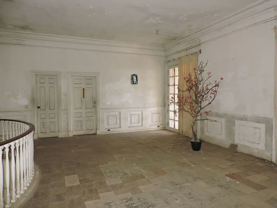 54207513_370715756858460_1983659520722731008_o