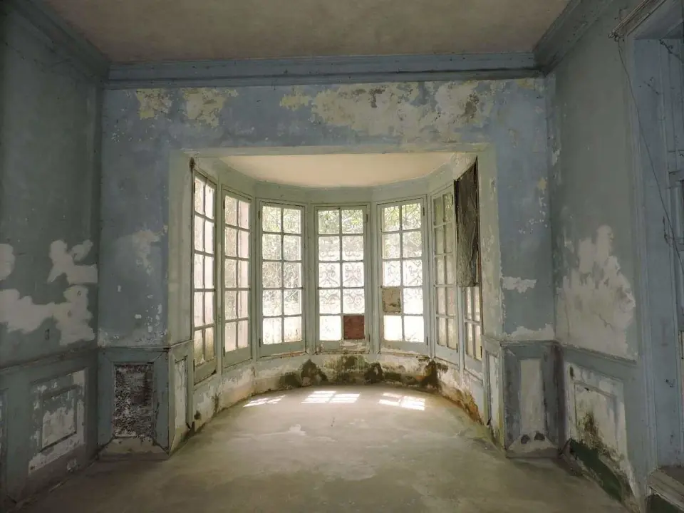 FB_IMG_1552839001748