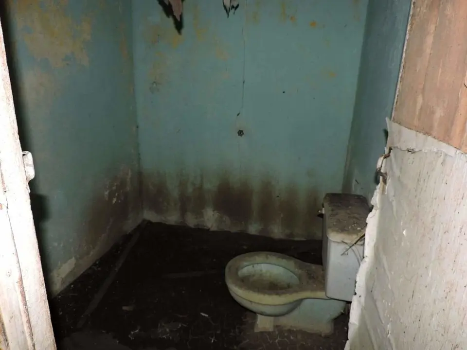 FB_IMG_1552839008219