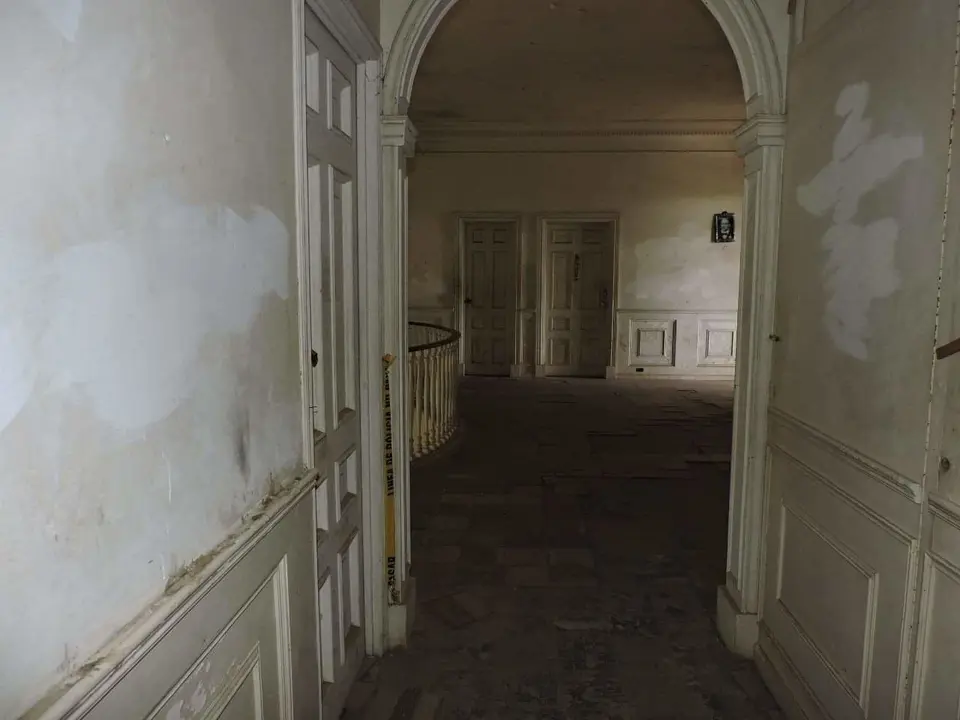 FB_IMG_1552839028398