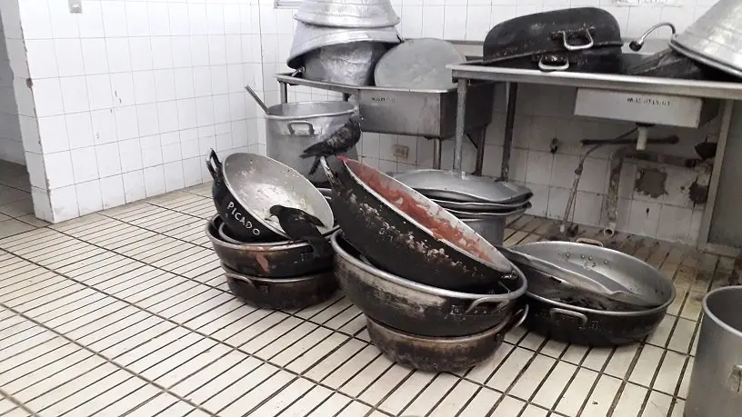 Rosales Lavandería 8