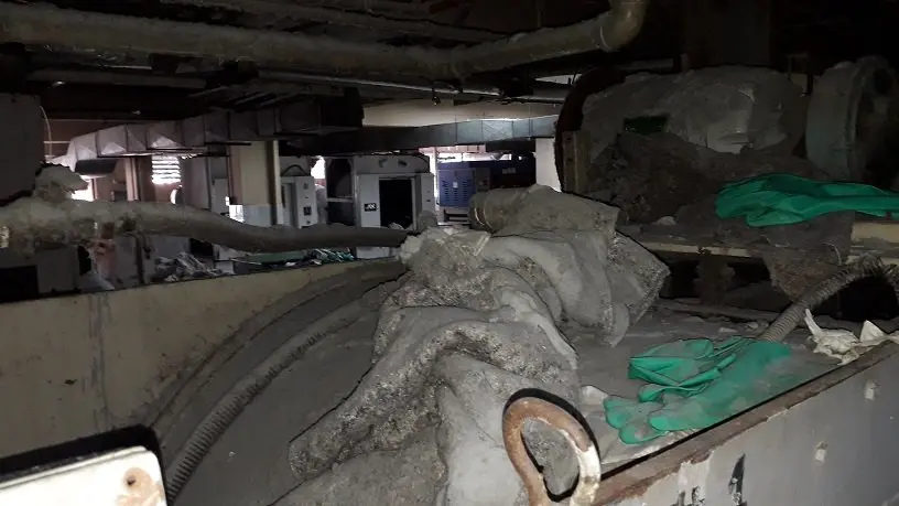 Rosales Lavandería 10