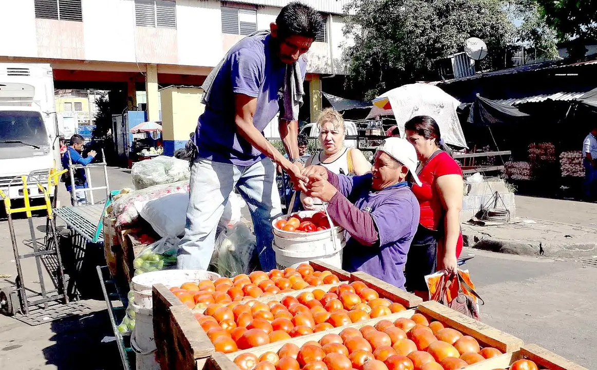 1.4 Isabel Hernández el hombre de la carreta