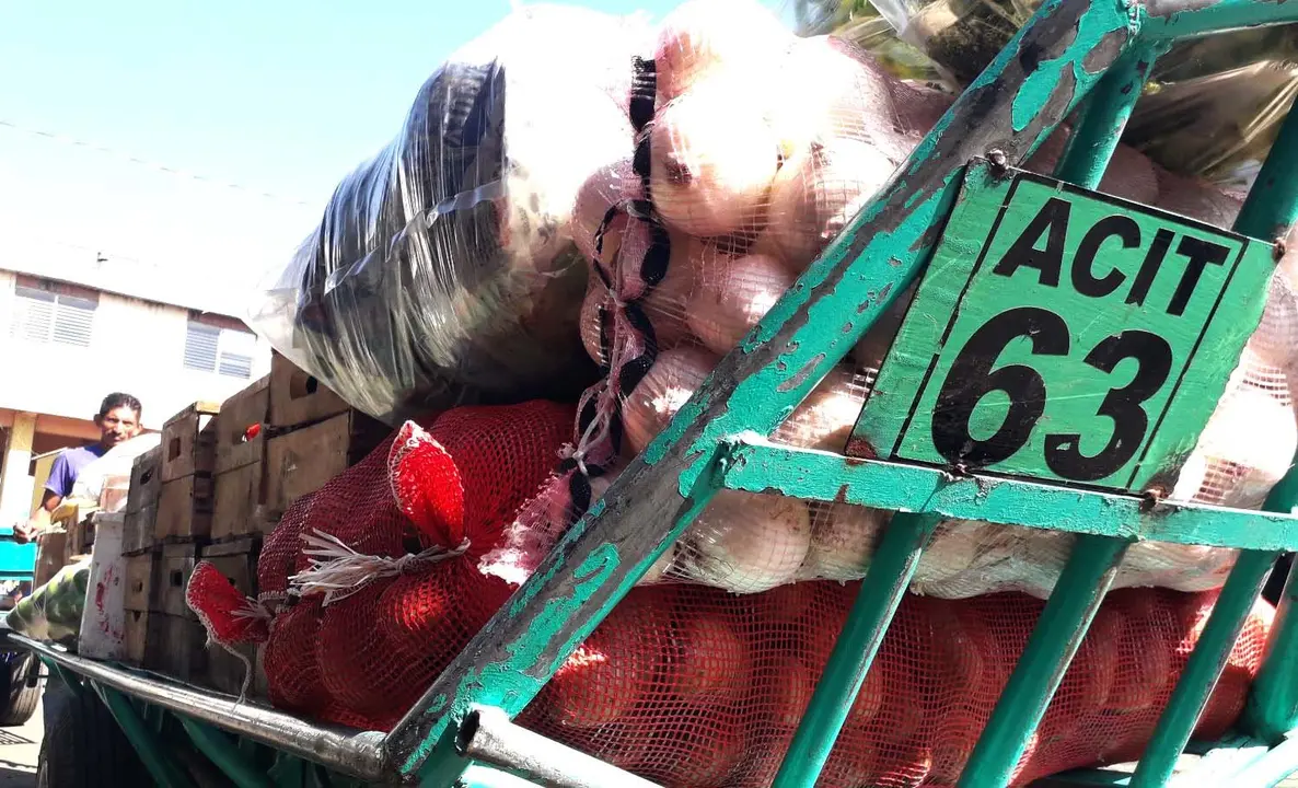 12 Isabel Hernández el hombre de la carreta