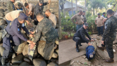 Cocodrilo en la playa Corte de Cuentas