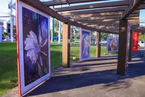 DAVIVIENDA INSPIRACIONES DEL ALMA 2025