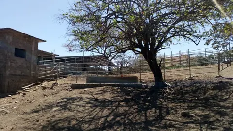 Propiedad decomisada