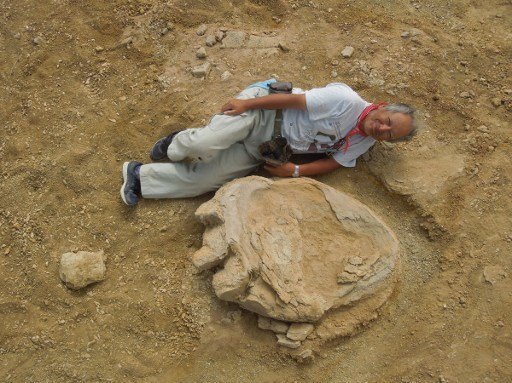 This handout picture taken on August 21, 2016 and released by Okayama University of Science and Mongolian academy of sciences joint expedition on September 30 shows Okayama University of Science Professor Shinobu Ishigaki lying next to a dinosaur footprint in Gobi Desert.
A Mongolia-Japan joint expedition has found four fossil footprints in a layer of earth that dates back 70-90 million years ago in Gobi Desert. / AFP PHOTO / Okayama University of Science an / HO
