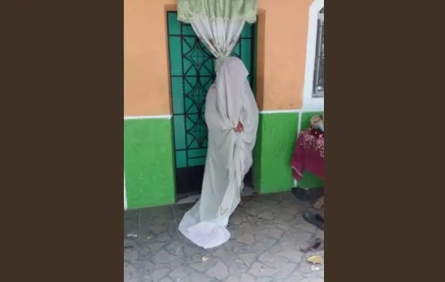 Abejas en Sonsonate