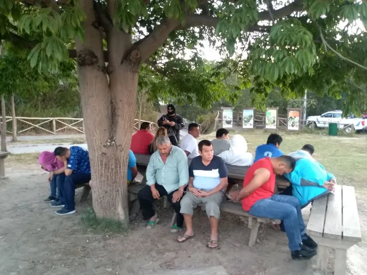 Detenidos Operación Libertad