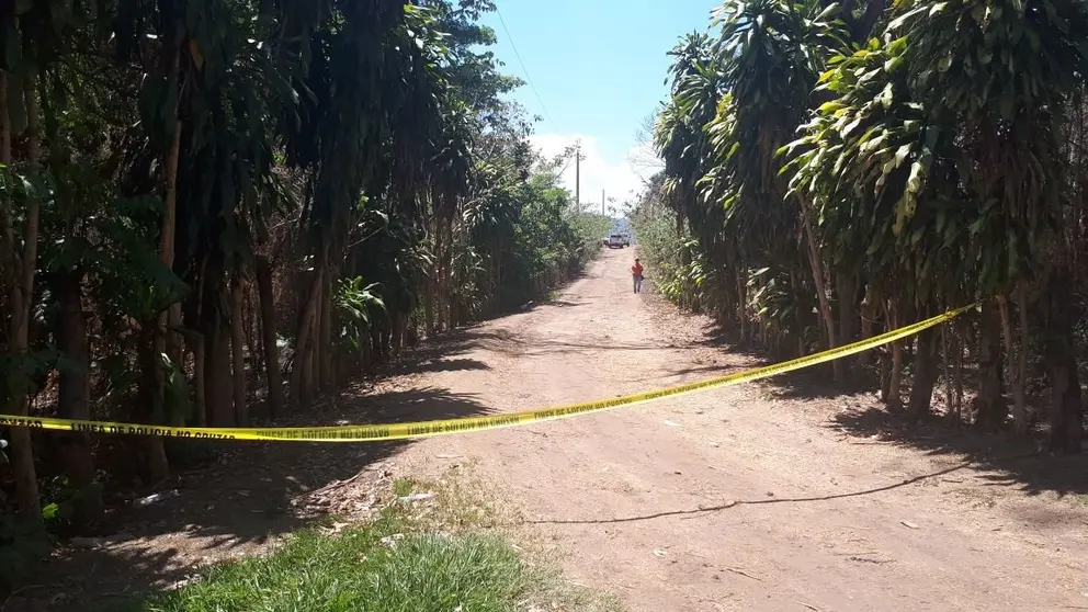 Finca San Vicente