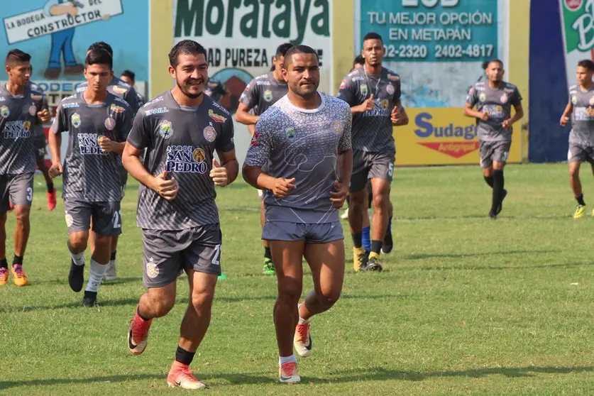 metapan 01