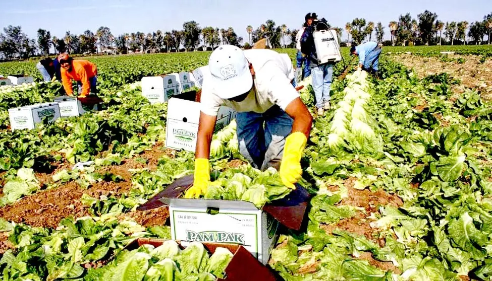 Hispanos trabajando en Estados Unidos