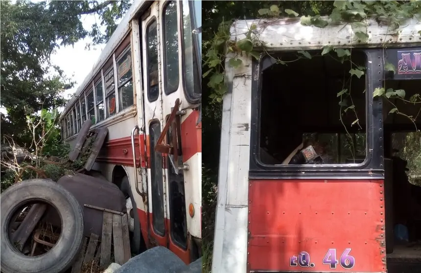 Bus tirado
