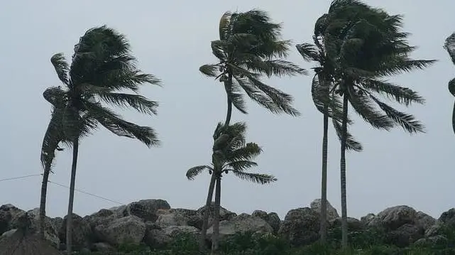 Fuertes vientos