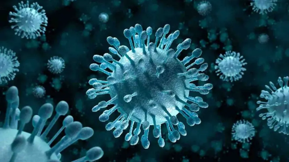 Coronavirus2
