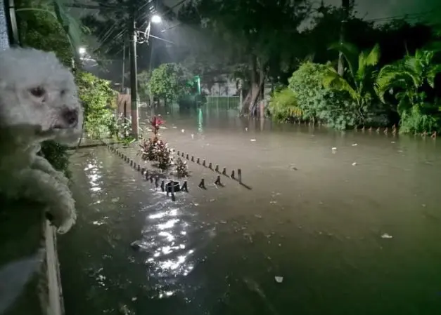 Lluvias de nuevo en la Santa Lucía