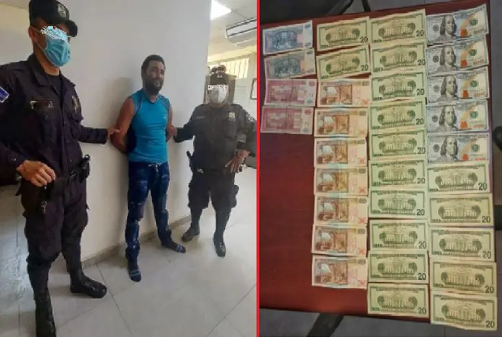 Coyote con dinero