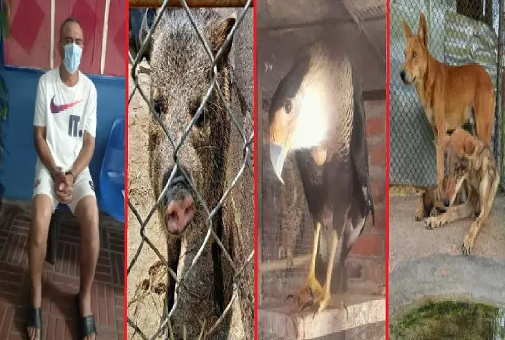 Tenía animales