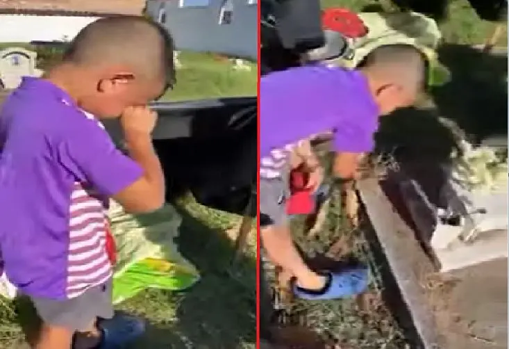 Niño de siete años