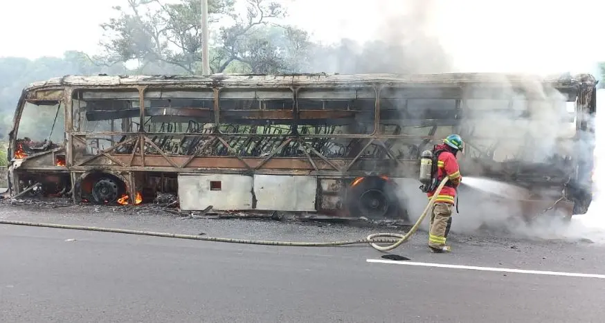 Bus de la 202