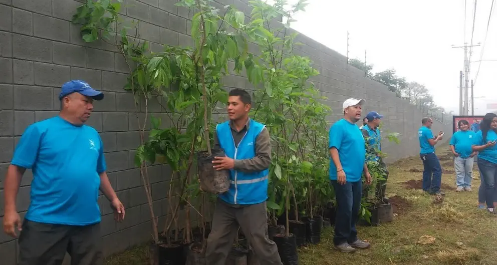 Reforestarán la avenida Jerusalén.