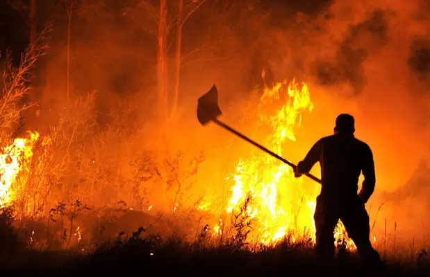 Incendio Forestal en Los Ángeles