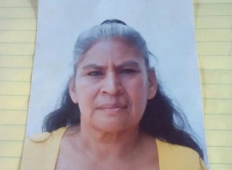 señora desaparecida