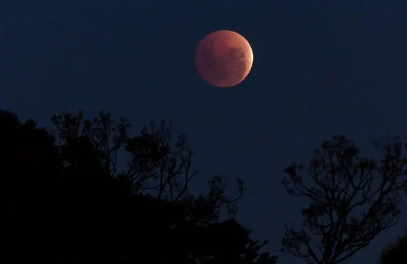 Lua de fresa