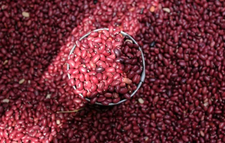 <p>Frijoles en un mercado de Tegucigalpa en Honduras el 7 de octubre de 2010</p>