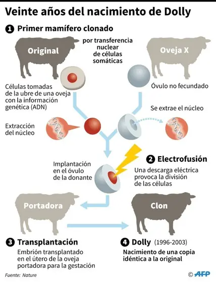 <p>Veinte años del nacimiento de Dolly</p>