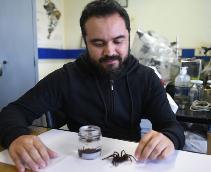 <p>El colombiano Carlos Perafán, coordinador del equipo que descubrió la tarantula Kankuamus Marquezi, muestra un espécimen en la Facultad de Ciencias en Montevideo, el 7 de julio de 2016</p>