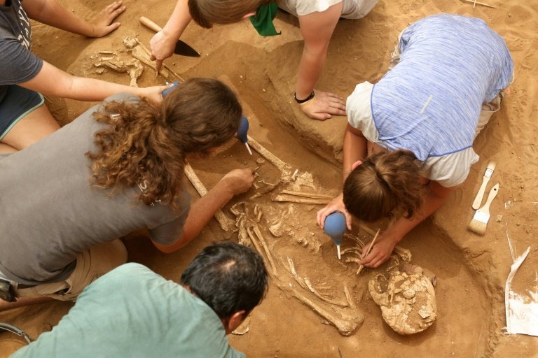 <p>Un equipo de arqueólogos extrae esqueletos en el primer cementerio filisteo descubierto en Ascalón, Israel, el 28 de junio de 2016</p>