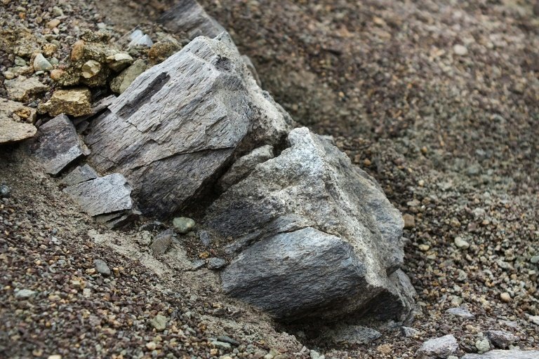 <p>Un fósil de un femur de un Hadrosaurio sobresale de la roca en el Cerro Guido en el sur de Chile el 24 de febrero de 2016</p>